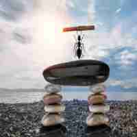 精‍准‌谷​歌﻿SEO方﻿案​